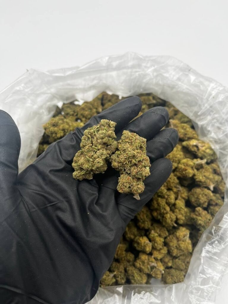 Buy Gelato 41 Online | Top Quality Gelato 41 For Sale