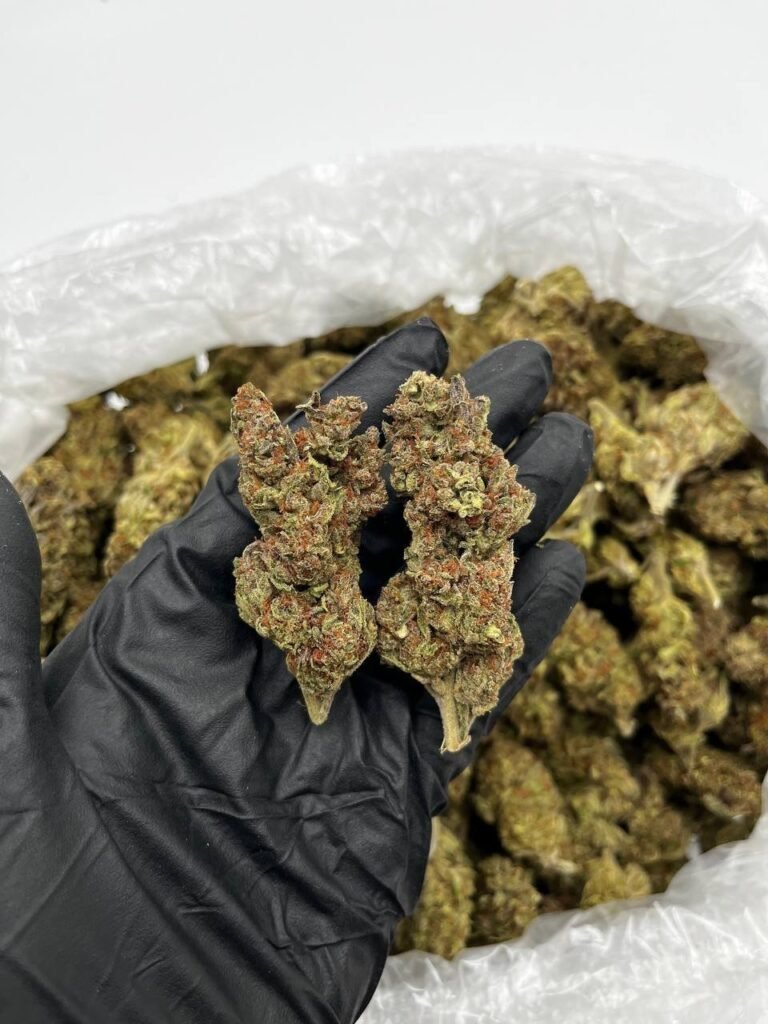 Buy Granddaddy Purple Online | Top Quality Indica Strain