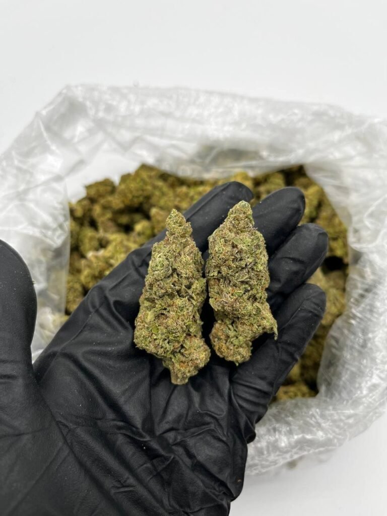 Buy Jack Skellington Online | Top Quality Sativa Hybrid For Sale