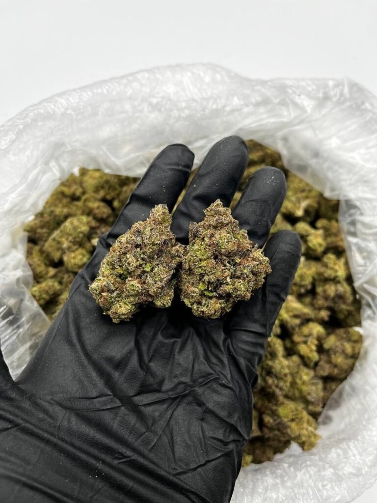 Buy Lemon Cherry Gelato Online – Top Quality Hybrid | Chemsfine