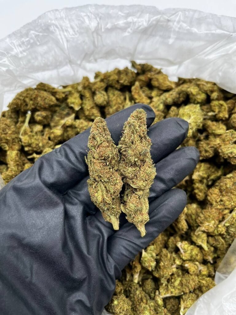 Buy London Pound Cake Online | Top Quality Strain For Sale