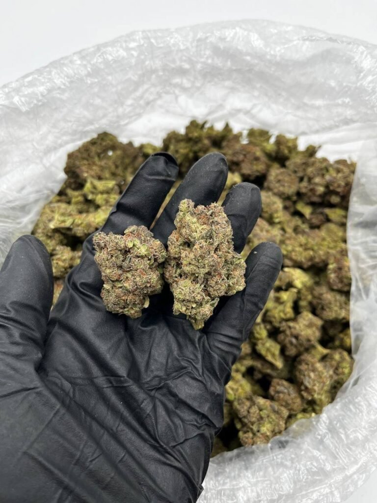 Buy Pink Rose Online | Premium Quality Strain For Sale