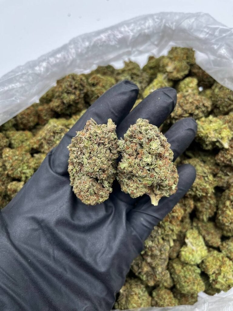 Buy Red Velvet Online | Top Quality Hybrid Cannabis | Chemsfine