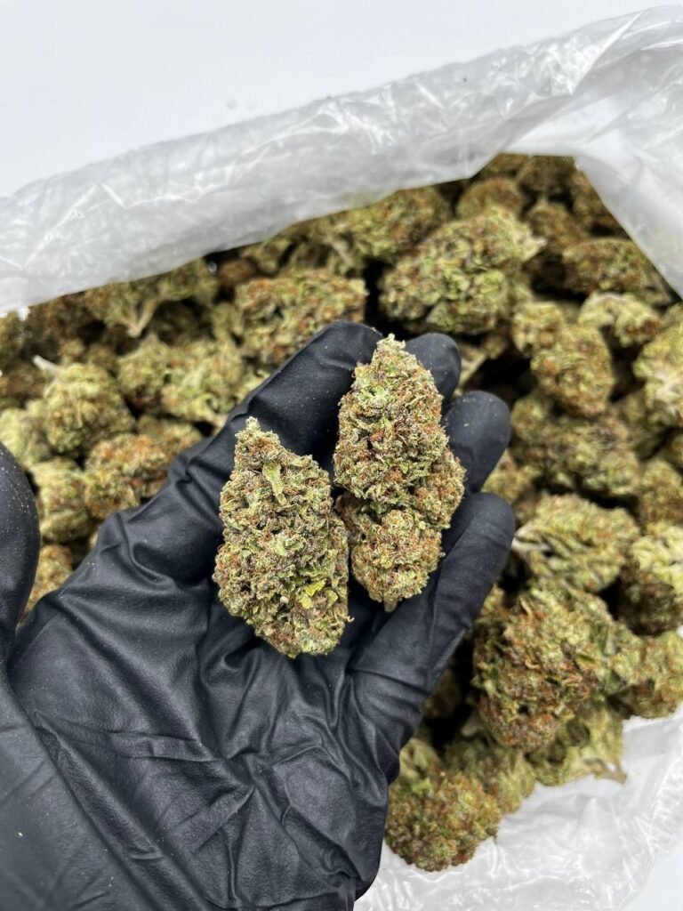 Buy Tropical Cherry Online | Premium Flower For Sale