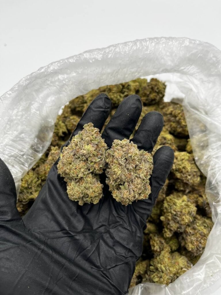 Buy White Trufflez Online | Premium Hybrid Strain | Chemsfine